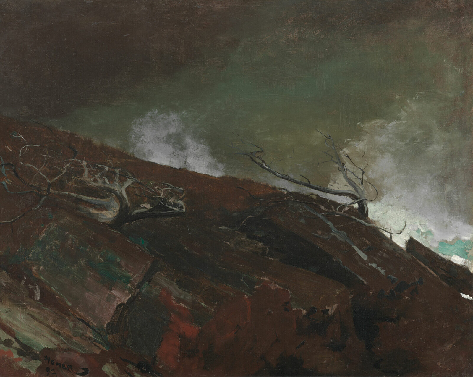 Coast of Maine av Winslow Homer